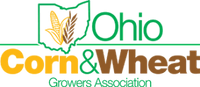 Logo 7